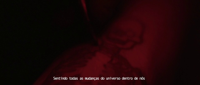Video Reference N13: Red, Black, Darkness, Maroon, Room, Mouth, Flesh, Photography, Magenta, Macro photography