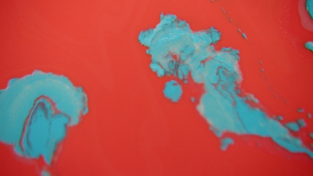 Video Reference N1: blue, red, pink, turquoise, art, turquoise