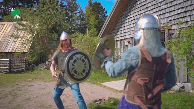 Video Reference N6: Knight, Battle gaming, Viking, Tree, Middle ages, Armour, Shield, History, Davul