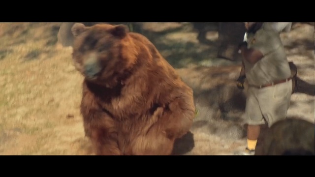 Video Reference N1: Bear, Grizzly bear, Brown bear, Organism, Fur, Carnivore, Wildlife, Zoo