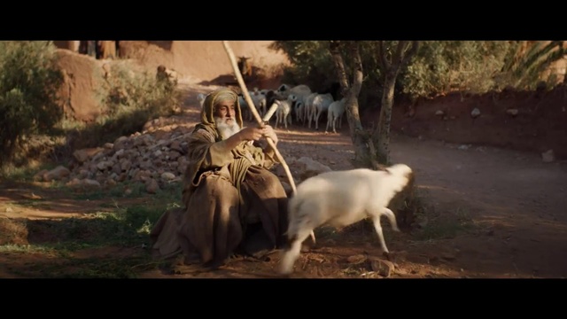 Video Reference N7: Goats, Goat, Wildlife, Adaptation, Screenshot