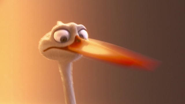 Video Reference N0: Beak, Close-up, Macro photography, Animation, Pelican, Bird
