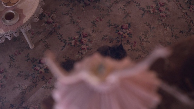 Video Reference N3: Pink, Dress, Ballet tutu, Ballet dancer, Costume, Haute couture
