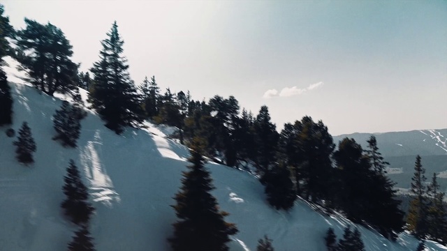 Video Reference N4: Snow, Nature, Tree, Geological phenomenon, Winter, Sky, Wilderness, Hill station, Atmospheric phenomenon, Biome