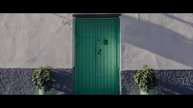 Video Reference N1: Green, Blue, Wall, Door, Line, Architecture, Facade, Grass, Window, Home door