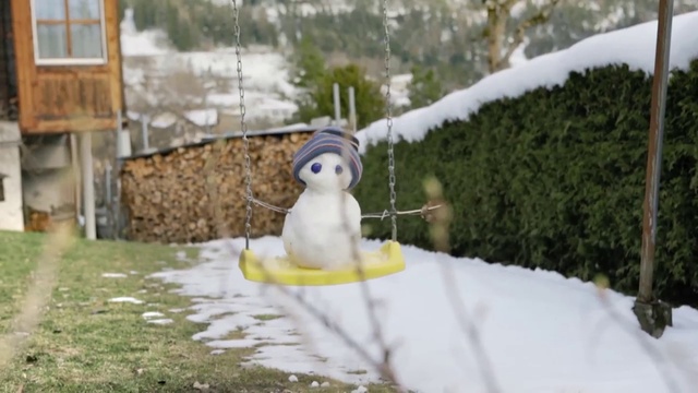 Video Reference N3: Snowman, Snow, Winter, Freezing, Grass, Tree, Photography, Plant, Yard, Frost, Person