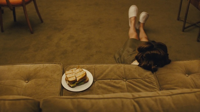 Video Reference N1: dog, mammal, dog like mammal, vertebrate, flooring, floor, table, carnivoran, wood, furniture