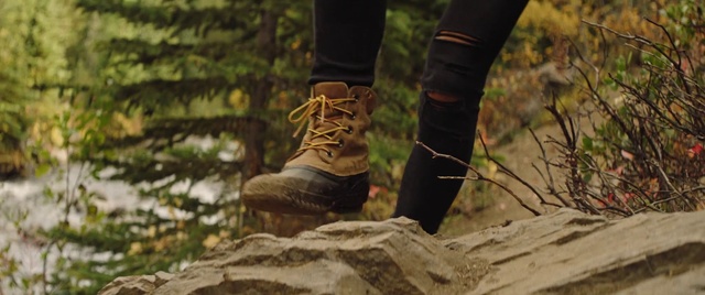 Video Reference N1: Footwear, Shoe, Brown, Hiking boot, Tree, Boot, Leg, Jeans, Photography, Woodland
