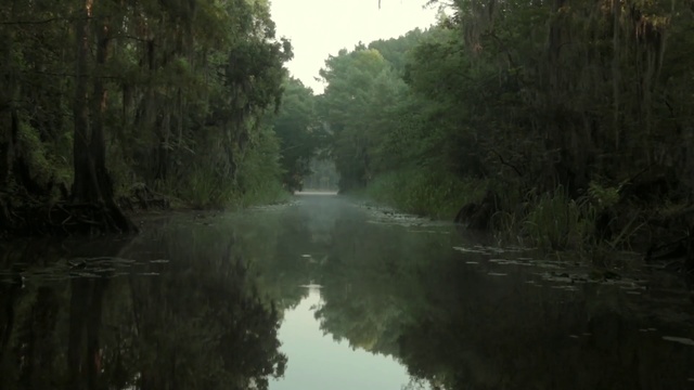 Video Reference N1: Body of water, Nature, Natural environment, Waterway, River, Natural landscape, Water resources, Bank, Nature reserve, Bayou