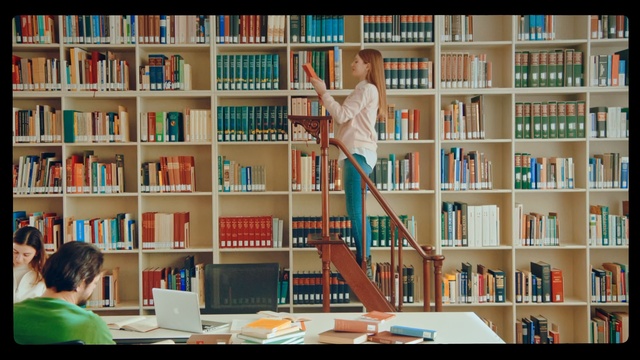 Video Reference N1: Bookcase, Shelving, Shelf, Library, Public library, Furniture, Bookselling, Building, Book, Publication, Person