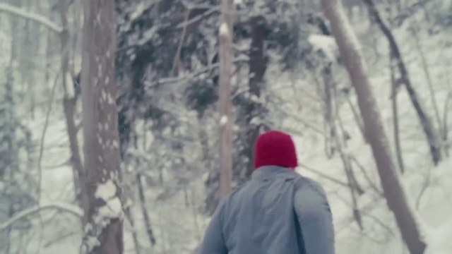 Video Reference N3: Winter, Nature, Branch, Tree, Snow, Forest, Freezing, Natural environment, Woodland, Blizzard, Person