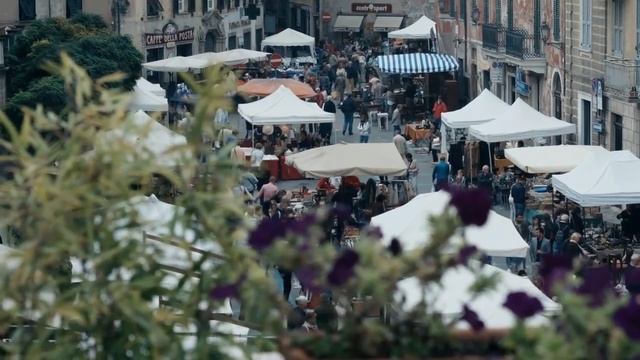 Video Reference N11: Urban area, City, Town, Public space, Human settlement, Crowd, Downtown, Market, Tree, Marketplace