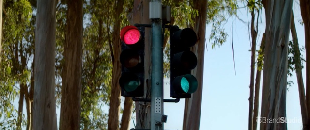 Video Reference N0: tree, traffic light, light fixture, plant, window, signaling device