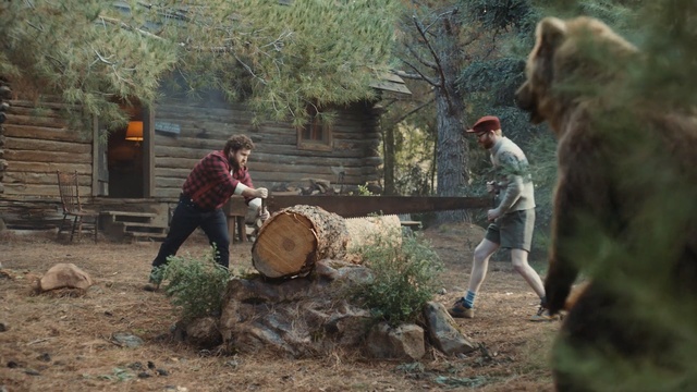 Video Reference N1: Tree, Lumberjack, Tree stump, Wood chopping, Woody plant, Logging, Woodland, Trunk, Plant, Wood, Person