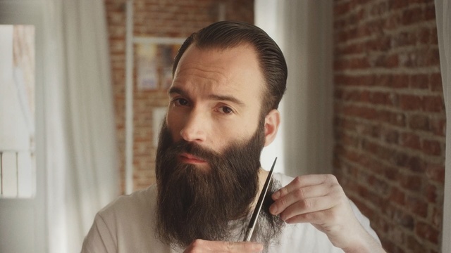 Video Reference N2: hair, facial hair, beard, chin, moustache
