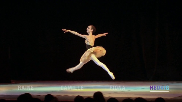 Video Reference N3: Dancer, Performing arts, Entertainment, Dance, Concert dance, Ballet, Choreography, Modern dance, Performance, Performance art