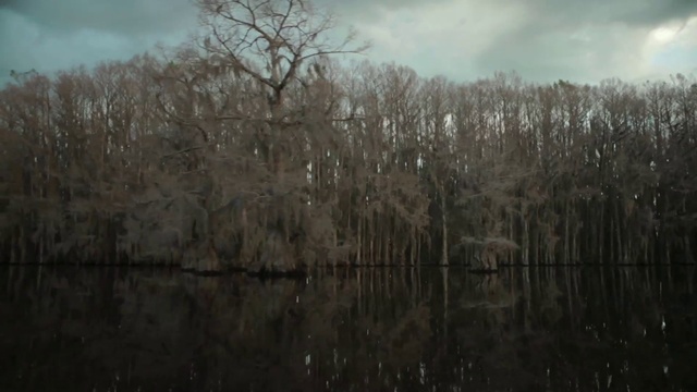 Video Reference N1: Nature, Water, Atmospheric phenomenon, Bank, Natural landscape, Bayou, Natural environment, Tree, Reflection, Swamp