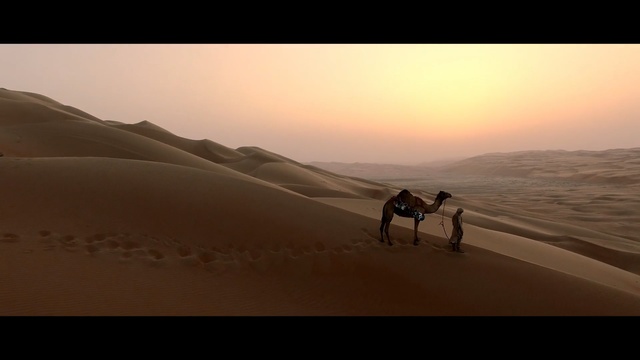 Video Reference N5: Desert, Sand, Natural environment, Aeolian landform, Sahara, Dune, Erg, Singing sand, Landscape, Sky