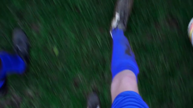 Video Reference N18: Blue, Green, Cobalt blue, Leg, Grass, Electric blue, Human leg, Leaf, Foot, Lawn