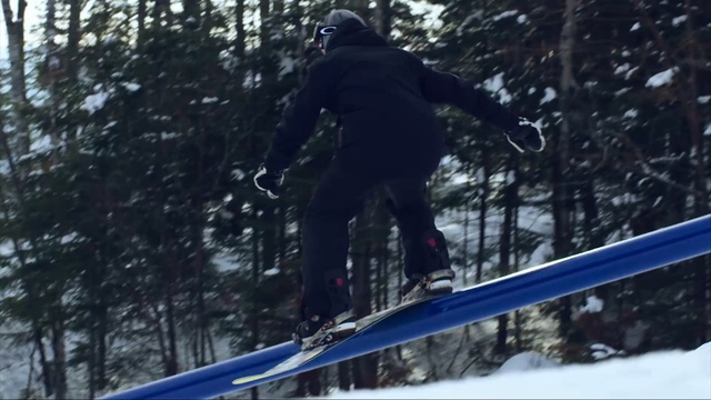 Video Reference N9: snow, tree, extreme sport, winter sport, winter, slopestyle, sports equipment, boardsport, geological phenomenon, skiing