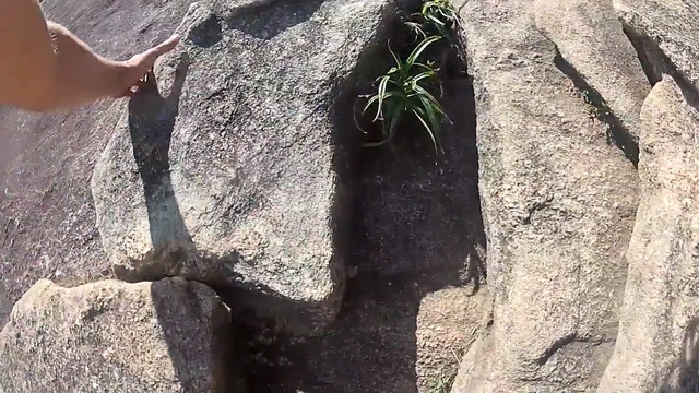 Video Reference N3: Rock, Tree, Shadow, Plant, Geology, Person