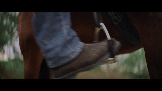Video Reference N2: Leg, Arm, Muscle, Human leg, Footwear, Hand, Horse, Mouth, Screenshot, Horse tack