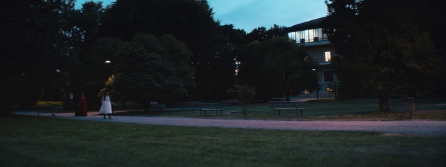 Video Reference N0: Photograph, Light, Sky, Lighting, Public space, Tree, Grass, Snapshot, Night, Lawn