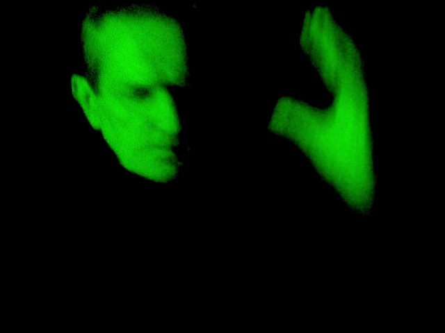 Video Reference N4: Green, Black, Light, Organism, Font, Photography, Darkness, Macro photography