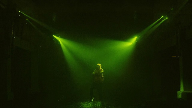 Video Reference N3: Green, Light, Performance, Lighting, Visual effect lighting, Technology, Performing arts, Sky, Photography, Stage, Front, Sitting, Glass, Dark, Yellow, Table, Fish, Water, Lit, Vase, Man, Large, Holding, Bird, Night, Standing, White, Room, Concert, Person, Laser, Night sky