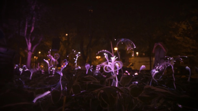 Video Reference N1: Purple, Light, Night, Violet, Sky, Lighting, Performance, Darkness, Tree, Event