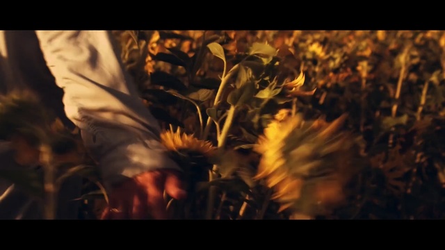 Video Reference N2: Heat, Flame, Sunlight, Fire, Sky, Atmosphere, Photography, Plant, Screenshot, Darkness