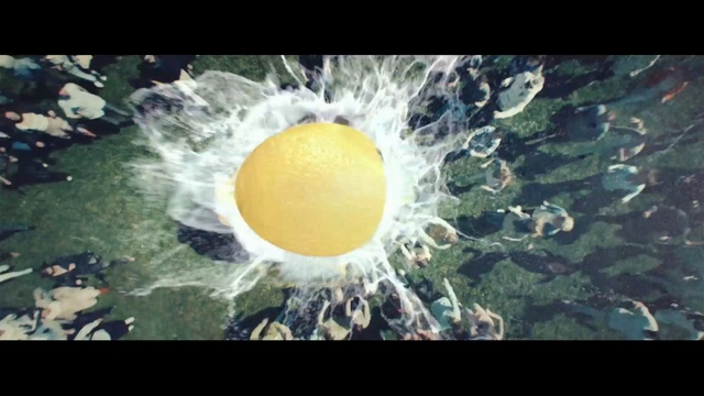 Video Reference N1: Nature, Yellow, Organism, Atmosphere, Egg, Fried egg, Earth, Space, World, Art
