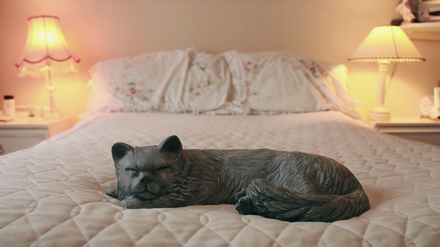 Video Reference N2: mammal, room, bed, cat, furniture, bedroom, small to medium sized cats, carnivoran, snout, whiskers
