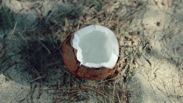 Video Reference N0: Coconut, Rock