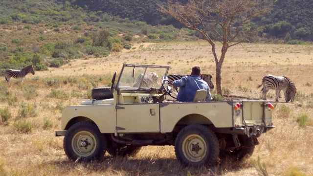 Video Reference N0: Vehicle, Car, Safari, Off-road vehicle, Jeep, Off-roading, Jeep cj, Adventure, Wildlife