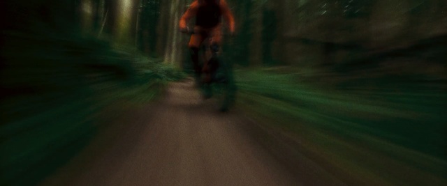 Video Reference N3: Nature, Natural environment, Forest, Tree, Woodland, Vehicle, Screenshot, Bicycle, Road, Sunlight