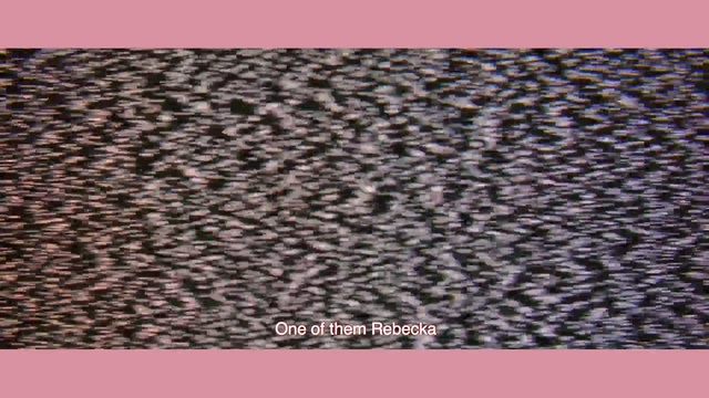 Video Reference N5: Brown, Pink, Fur, Pattern, Textile, Flooring
