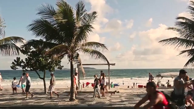 Video Reference N3: People on beach, Beach, Tree, Vacation, Palm tree, Tourism, Sky, Fun, Arecales, Summer, Person