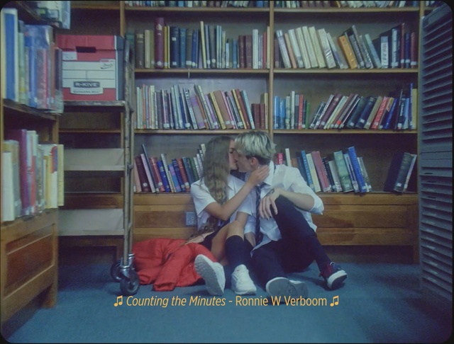 Video Reference N5: Library, Bookcase, Shelving, Snapshot, Public library, Bookselling, Furniture, Sitting, Shelf, Book