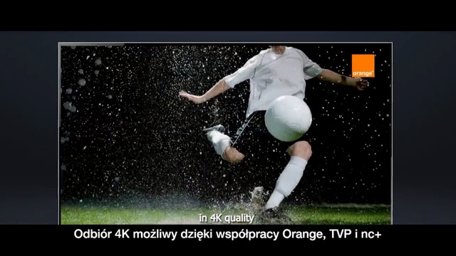 Video Reference N1: Football player, Football, Soccer ball, Player, Soccer kick, Sports equipment, Ball, Soccer, Photography, Kick