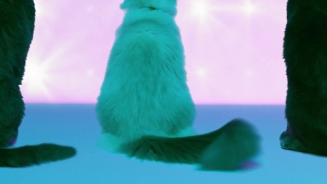 Video Reference N2: Green, Fur, Tail, Organism, Animation, Feather