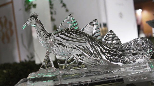 Video Reference N1: Sculpture, Peafowl, Glass, Wildlife, Bird, Metal, Art