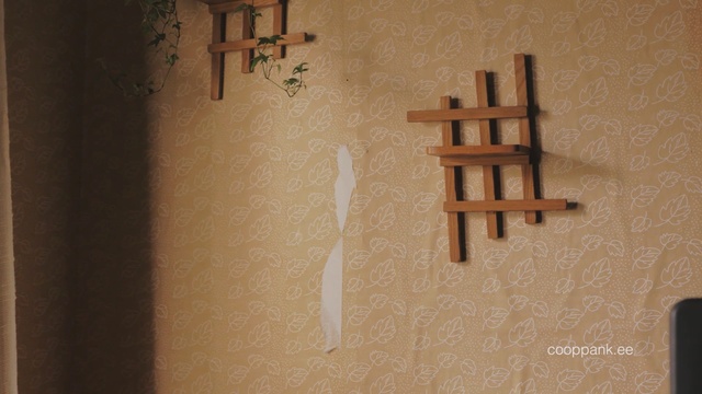 Video Reference N2: Wall, Wood