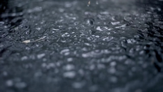 Video Reference N1: water, black, black and white, monochrome photography, drop, atmosphere, photography, close up, monochrome, rain