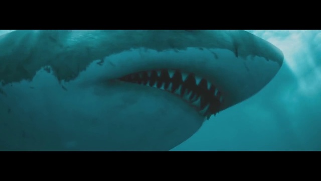 Video Reference N1: Great white shark, Lamniformes, Shark, Cartilaginous fish, Lamnidae, Fish, Tiger shark, Requiem shark, Marine biology, Sand tiger shark