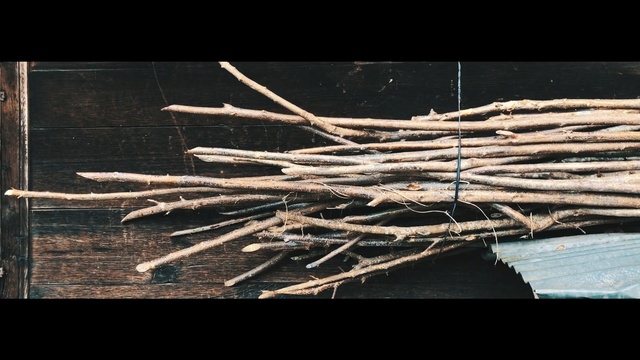 Video Reference N1: Wood, Branch, Twig, Tree, Driftwood, Plant, Still life photography