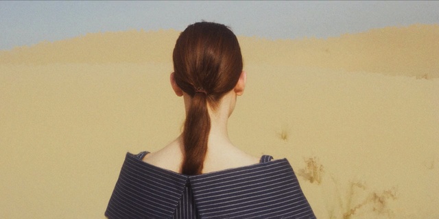 Video Reference N2: shoulder, girl, vacation, neck, long hair, landscape, sand, back, sky
