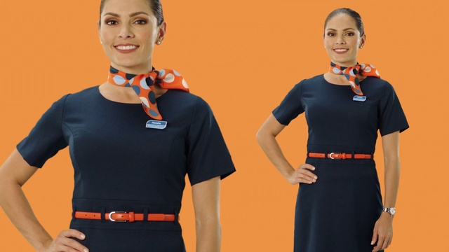 Video Reference N8: Clothing, Sleeve, Collar, Orange, T-shirt, Uniform, Neck, Electric blue, Polo shirt, Waist