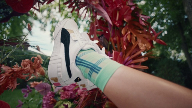 Video Reference N1: Footwear, Flower, Shoe, Plant