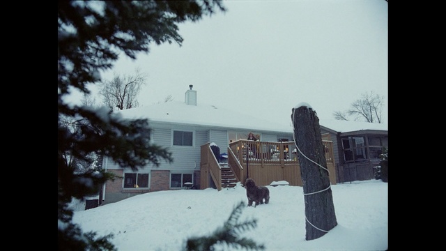 Video Reference N1: snow, winter, tree, town, freezing, sky, house, architecture, home, residential area